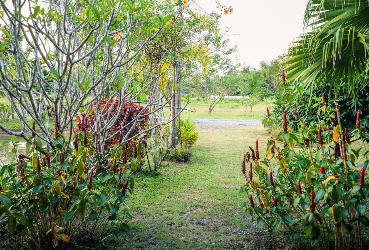 Rommai Villa Chiang Rai Ban Pa Sang Exterior foto